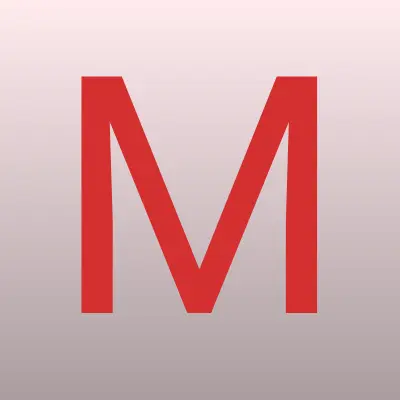 Мастерская по ремонту крупной бытовой техники, ИП Шальнев Е.В., лого-визитка
